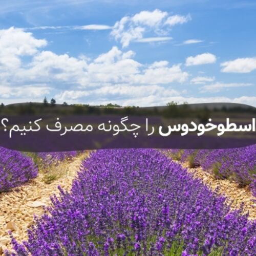 اسطوخودوس را چگونه مصرف کنیم