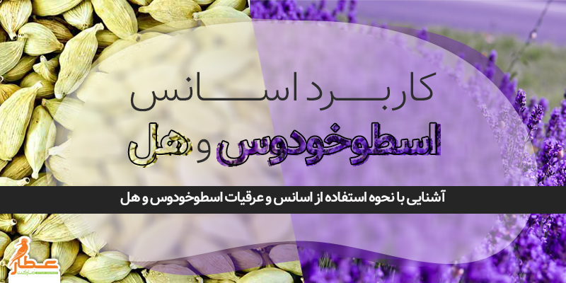 کاربرد اسانس اسطوخودوس و هل