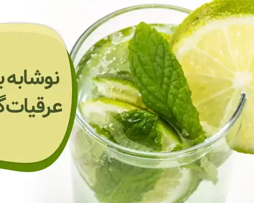 نوشابه بر پایه عرقیات گیاهی