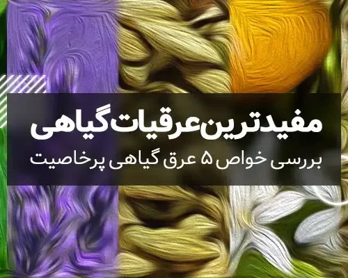 مفیدترین عرقیات گیاهی