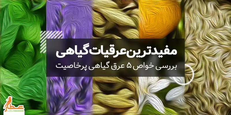 مفیدترین عرقیات گیاهی