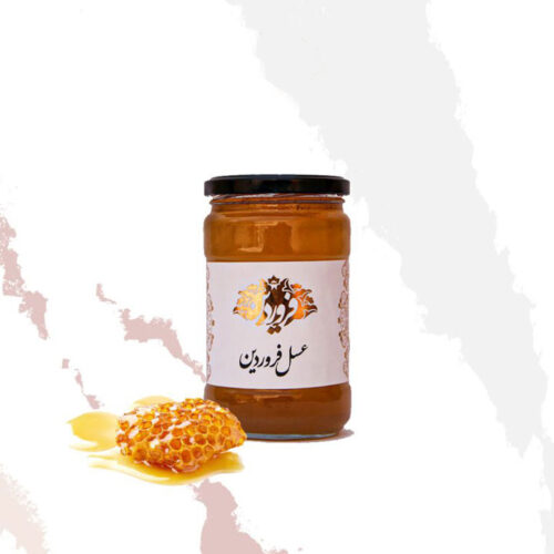 عسل اکالیپتوس فروردین (850 گرم)