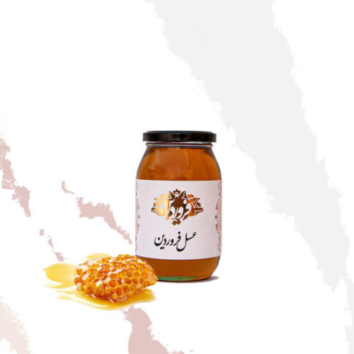 عسل کوهستان فروردین (650 گرم)