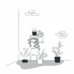 گیاهان دارویی