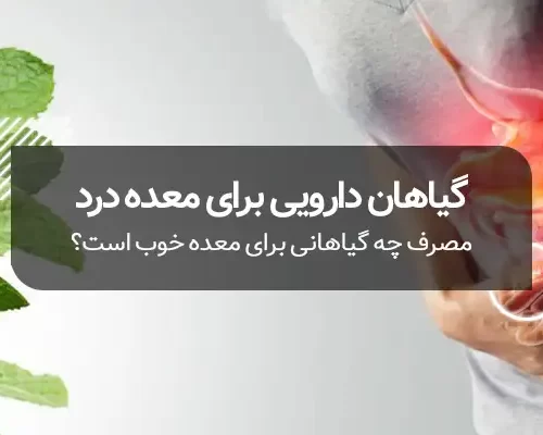گیاهان دارویی برای معده درد