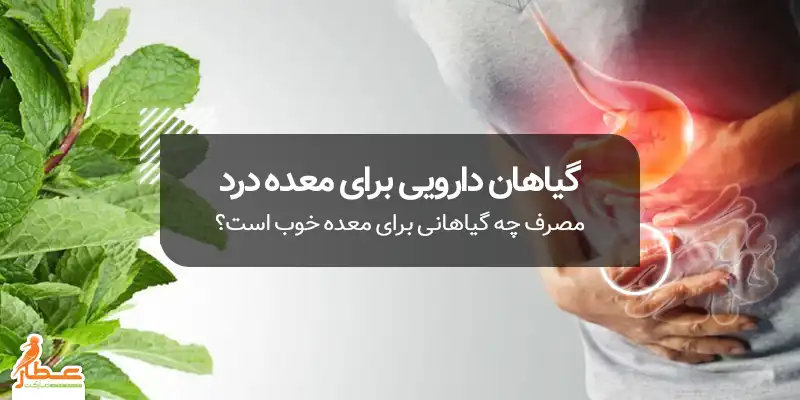 گیاهان دارویی برای معده درد